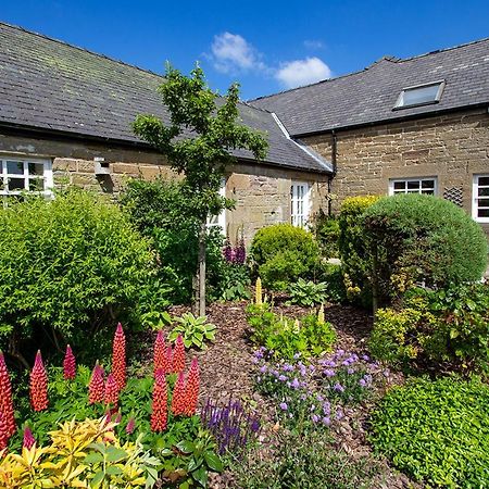 Home Farm B&B - Sunflower Room Forfar Εξωτερικό φωτογραφία