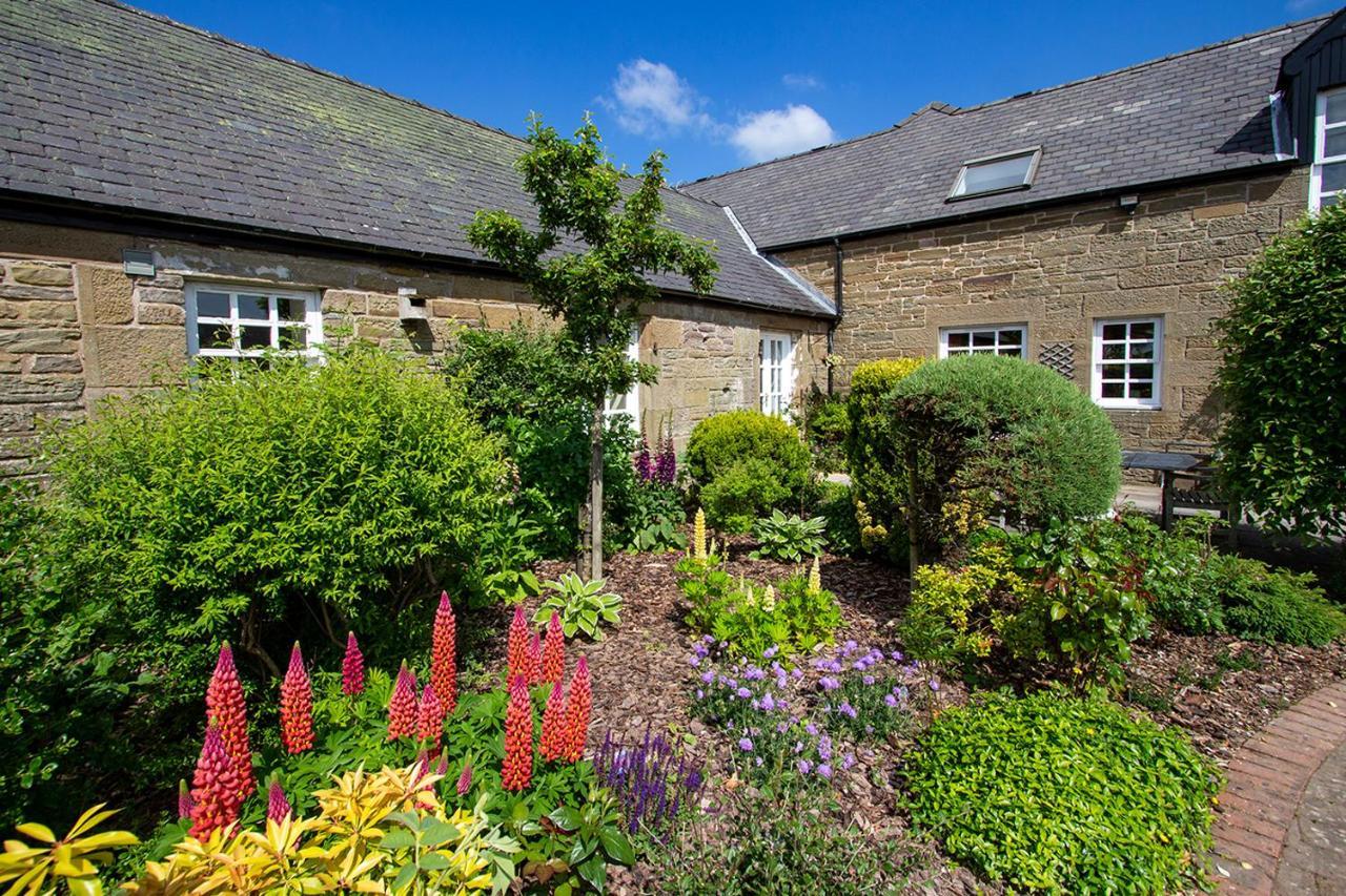 Home Farm B&B - Sunflower Room Forfar Εξωτερικό φωτογραφία